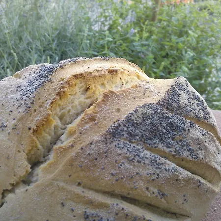 Alloggio per agriturismo La Terra *